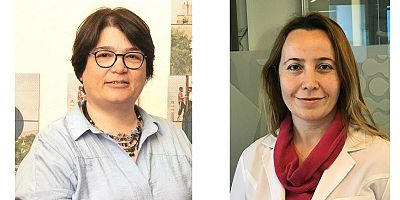 ÇİSİP: Türkiye'de hava kirliliği alarm veriyor