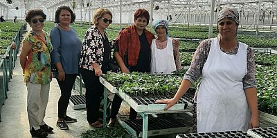 CKD, çiftçi kadınlarla...