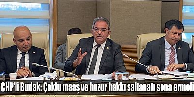 Çoklu maaşı sonlandırma önerisi Sanayi Komisyonu'nda reddedildi