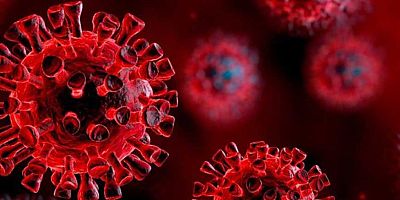 Covid-19'un psikolojiye temasları devam ediyor