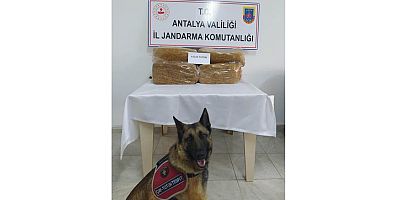Çuval içerisinde 50 kg kaçak tütün yakalandı