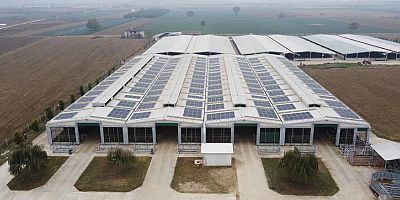 CW Enerji çiftlikleri güneş enerji santrali ile buluşturuyor