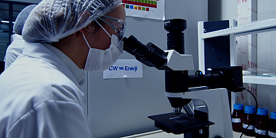 CW Enerji ile kadınlar enerjiye yön veriyor