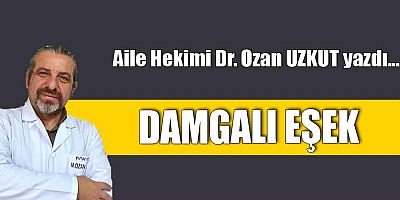 DAMGALI EŞEK
