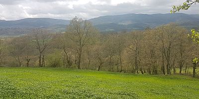 Danıştay onadı: Çanakkale Çırpılar Köyü’ne kömürlü termik santral kurulamayacak