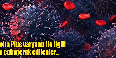Delta Plus varyantı ile ilgili en çok merak edilen 10 soru