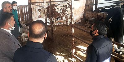 Demre’deki besicilerin ihtiyaçları belirlendi