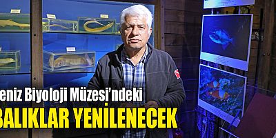 Deniz Biyoloji Müzesi’ndeki balıklar yenilenecek