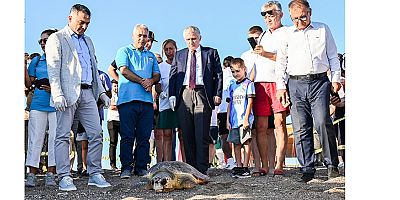 Deniz kaplumbağaları doğaya kavuştu