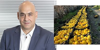 Deprem Bölgesindeki Üreticilere Metro Türkiye’den 4.000 Ton Meyve Sebze Alım Desteği