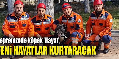 Depremzede köpek ‘Hayat’