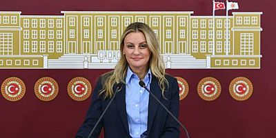 DEVA Partisi'nden e-kitapta KDV'nin sıfırlanması için kanun teklifi