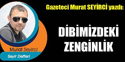 DİBİMİZDEKİ ZENGİNLİK
