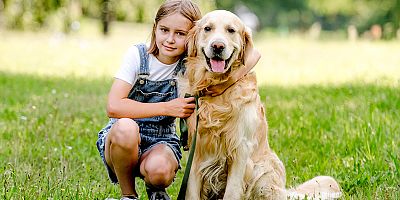 Dikkat! Köpeğinizin burnundan köpük veya sarı safra geliyorsa ve karnında şişme varsa GDV, yani mide dönmesinden muzdarip olabilir!