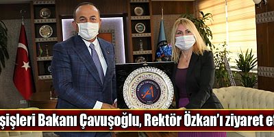 Dışişleri Bakanı Çavuşoğlu