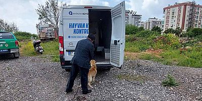 Doğuyaka Mahallesinde Bakımı İhmal Edilen Köpek Muhafaza Altına Alındı