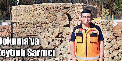 Dokuma’ya Zeytinli Sarnıcı