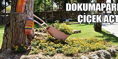 Dokumapark çiçek açtı
