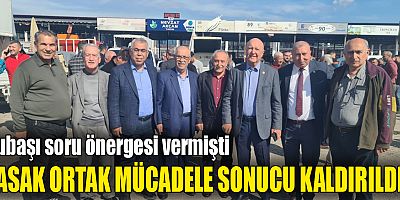 Domates’e 14 Nisan’a kadar uygulanacak ihracat kısıtlaması kaldırıldı