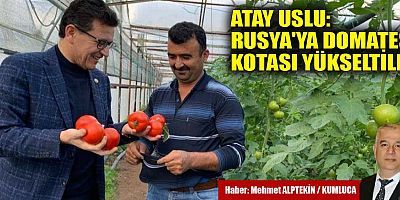 Domates kotası yükseltiliyor