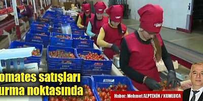 Domates satışları durma noktasında