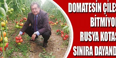 Domatesin çilesi bitmiyor, Rusya kotası sınıra dayandı