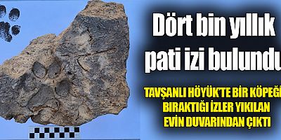 Dört bin yıllık pati izi bulundu