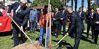 Dostluk çınarı toprağa kavuştu