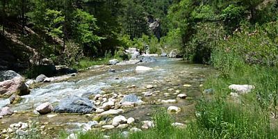 DSİ Kumluca’daki tarımsal sulama suyunu kesti