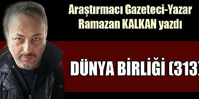 DÜNYA BİRLİĞİ (313)