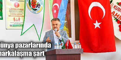 Dünya pazarlarında markalaşma şart