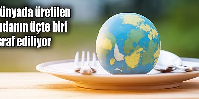 Dünyada üretilen gıdanın üçte biri israf ediliyor
