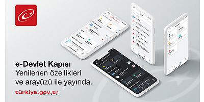 E-Devlet 16 yaşında