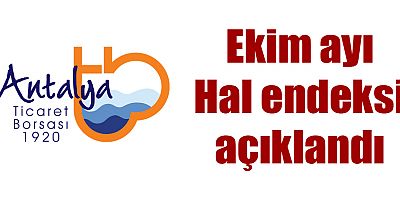 Ekim ayı Hal endeksi açıklandı