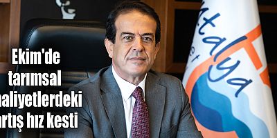 Ekim'de tarımsal maliyetlerdeki artış hız kesti