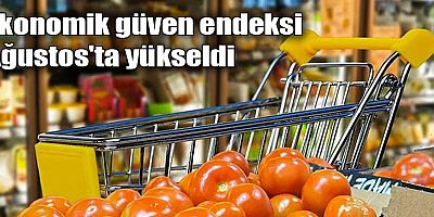 Ekonomik güven endeksi Ağustos'ta yükseldi
