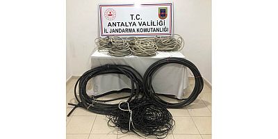 Elektrik kablosu çalan kişiler yakalandı