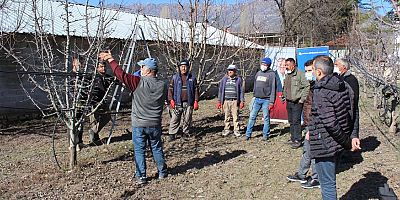 Elmalı’da çiftçilere budama eğitimi