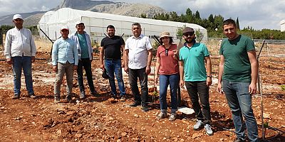 Elmalı MYO’dan Sofralık Üzüm Yetiştiriciliğine Katkı