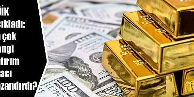 En çok hangi yatırım aracı kazandırdı?