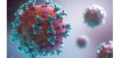 En medyatik aşı markası Pfizer/Biontech oldu