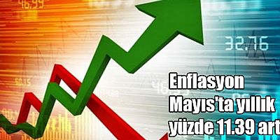 Enflasyon Mayıs'ta yıllık yüzde 11.39 arttı