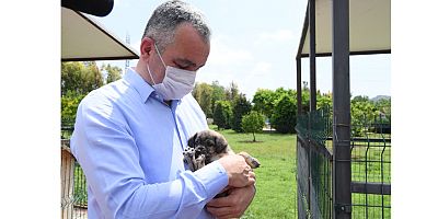 Esen: Her can değerlidir