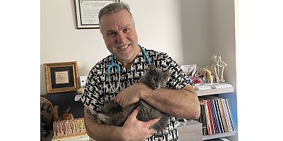 Evcil hayvanınızı hasta edebilir misiniz?