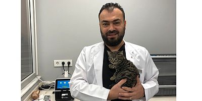 Evcil Hayvanlarda Yüksekten Düşme ile Çok Sık Karşılaşılıyor