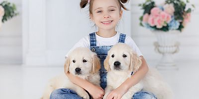 Evde Kedi - Köpek Kavgasına Son Vermek Mümkün Mü?