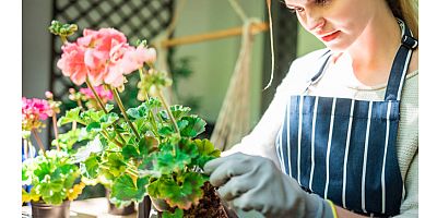 Evde kendi olanaklarıyla bitki yetiştirmek isteyenlere 5 öneri