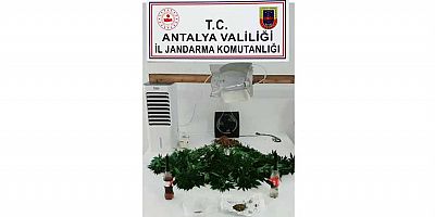 Evinde kenevir ekimi yapan şahısa operasyon