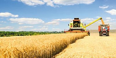 Eylül ayı tarım ürünleri üretici fiyat endeksi açıklandı