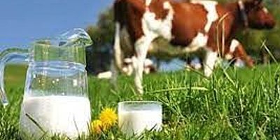 Eylül ayına ait süt istatistikleri açıklandı